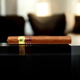 TRINIDAD LA TROVA / 12'S — Rhein 1905