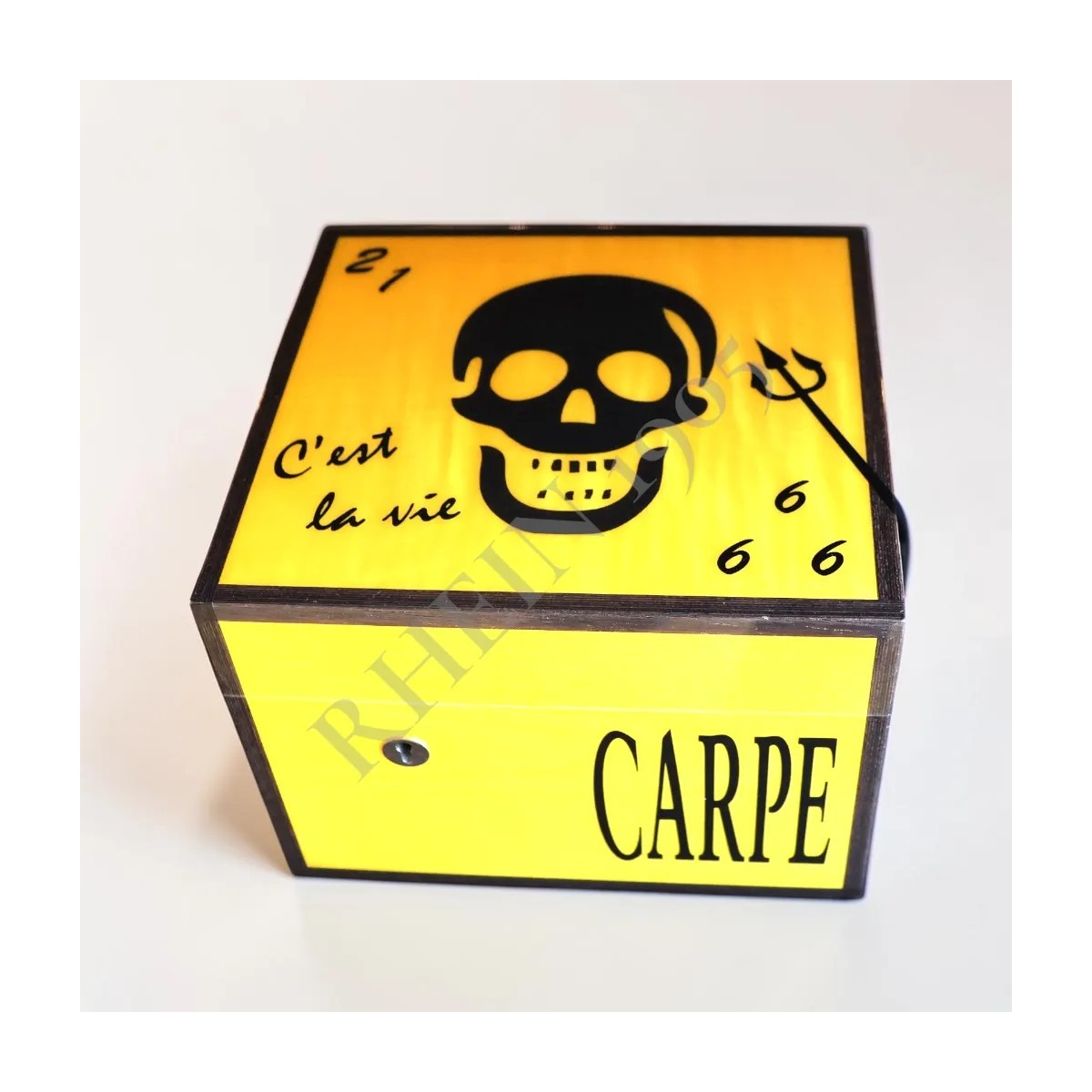 ELIE BLEU "VANITÉS" ROBUSTO JAUNE D'OR SKULL NOIR — Rhein 1905