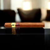 TRINIDAD LA TROVA FULL BOX 12'S