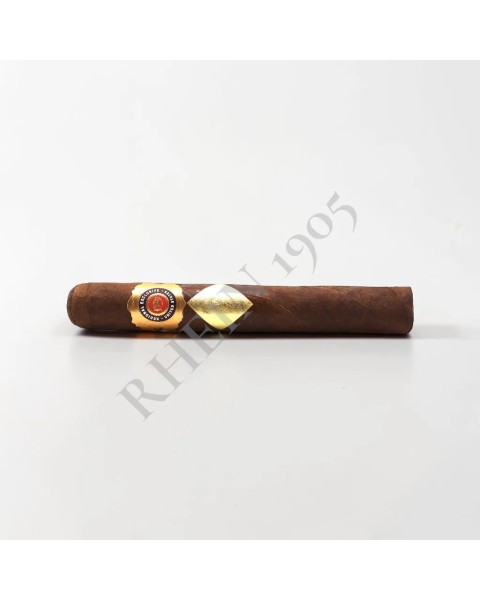 CAVALIER DE GENEVE - BLACK I TORO — Rhein 1905