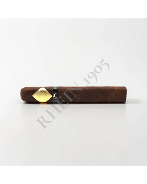 CAVALIER DE GENEVE - BLACK II TORO — Rhein 1905