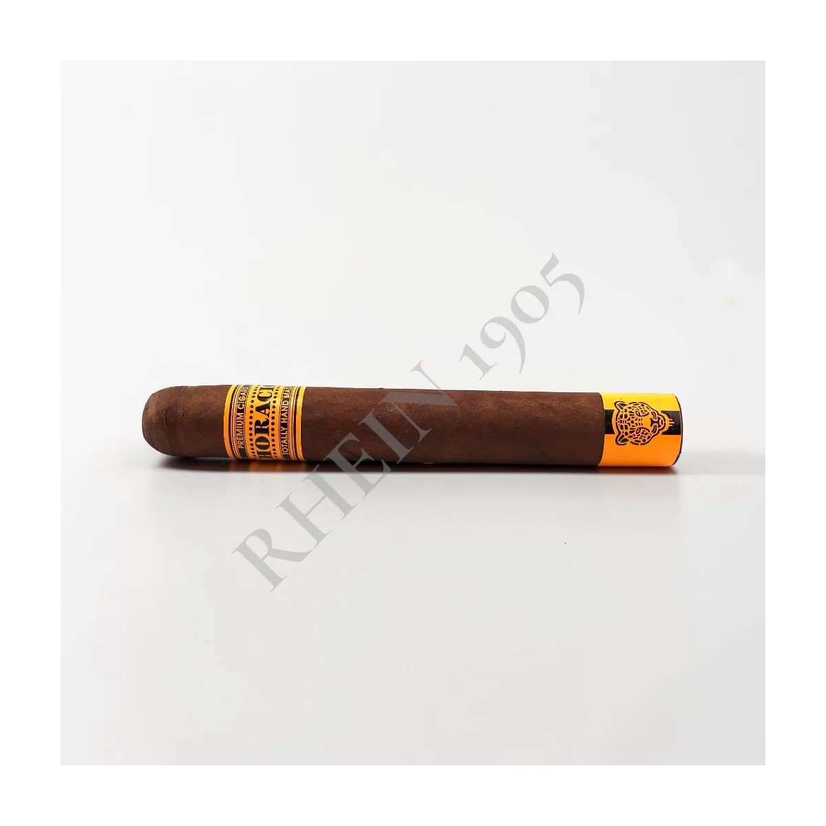 HORACIO PANTERA 54 — Rhein 1905