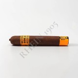 HORACIO PANTERA 60 — Rhein 1905