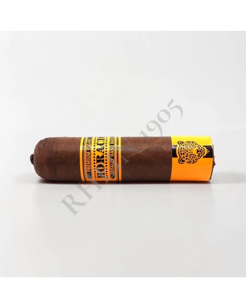HORACIO PANTERA 64 — Rhein 1905