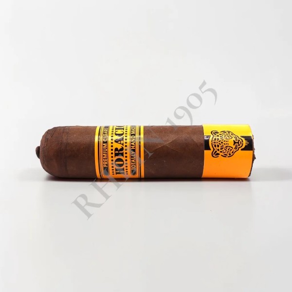 HORACIO PANTERA 64 — Rhein 1905