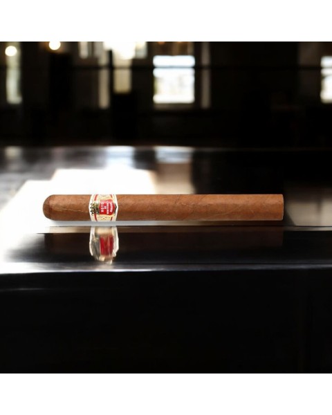 HOYO DE MONTERREY PALMAS EXTRA — Rhein 1905