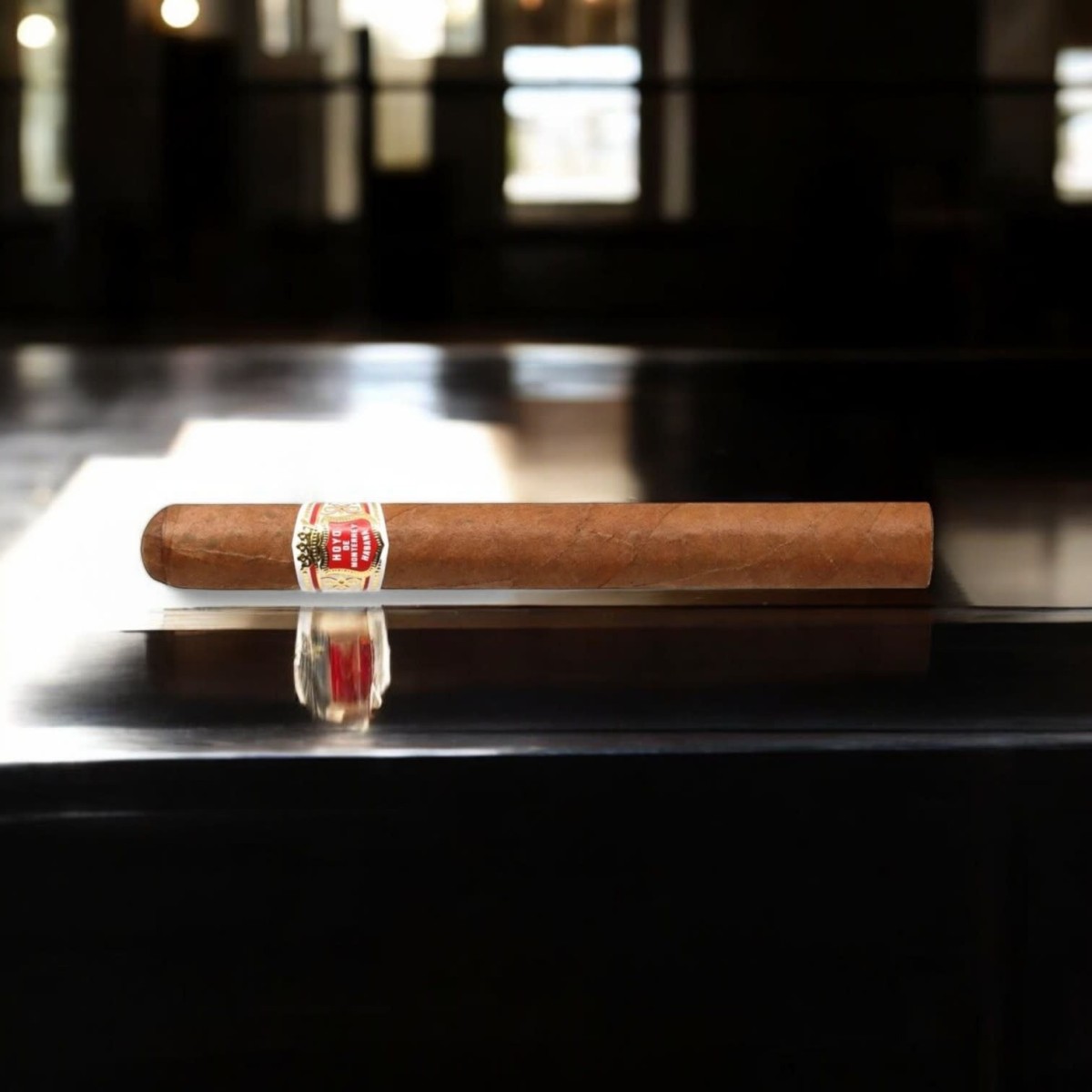 HOYO DE MONTERREY PALMAS EXTRA — Rhein 1905