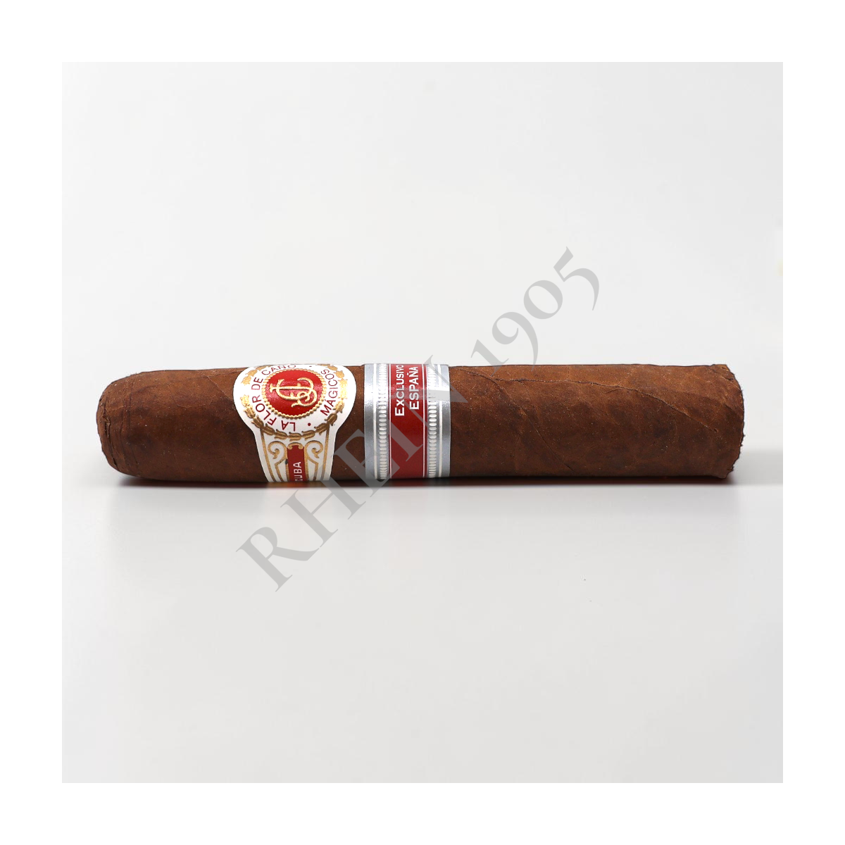 LA FLOR DE CANO MÁGICOS ER ESPAÑA 2020 — Rhein 1905