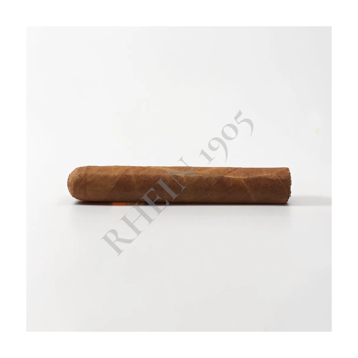 NO NAME SF GORDO 60X6 — Rhein 1905