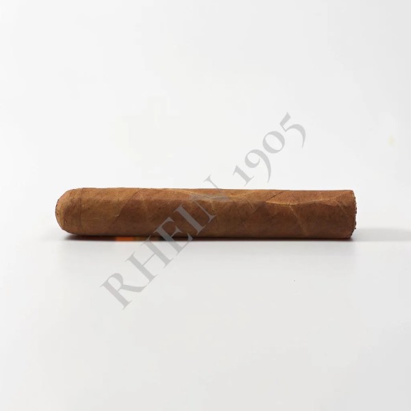 NO NAME SF GORDO 60X6 — Rhein 1905