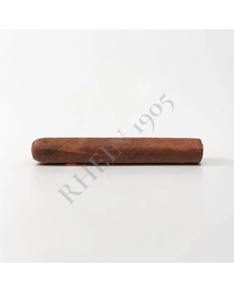 NO NAME SF ROBUSTO 51X4 — Rhein 1905