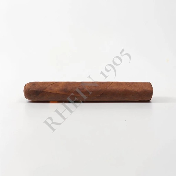 NO NAME SF ROBUSTO 51X4 — Rhein 1905