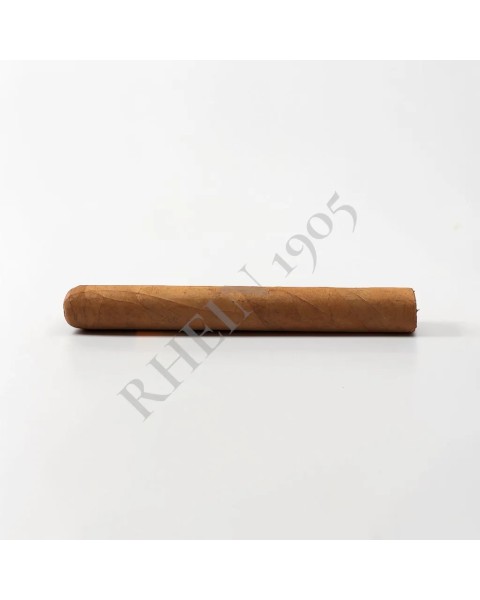 NO NAME SF TORO 52X6 — Rhein 1905