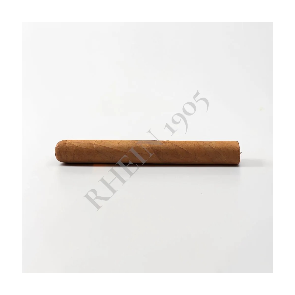 NO NAME SF TORO 52X6 — Rhein 1905