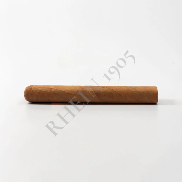 NO NAME SF TORO 52X6 — Rhein 1905