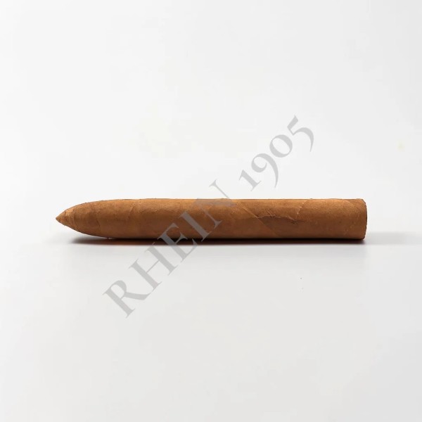 NO NAME SF TORPEDO 51/6 — Rhein 1905