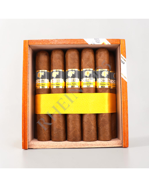 COHIBA ROBUSTOS /25'S — Rhein 1905