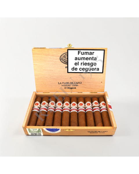 FLOR DE CANO MÁGICOS ER ESPAÑA 2020 / 10'S — Rhein 1905