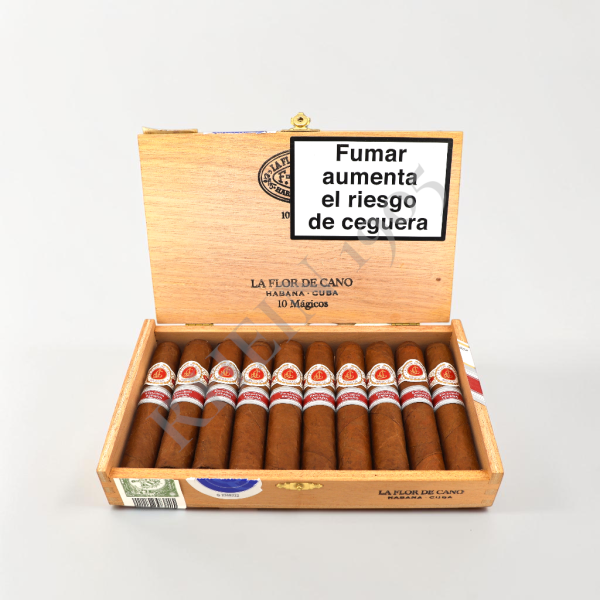 FLOR DE CANO MÁGICOS ER ESPAÑA 2020 / 10'S — Rhein 1905