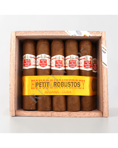 HOYO DE MONTERREY PETIT ROBUSTO / 25'S — Rhein 1905