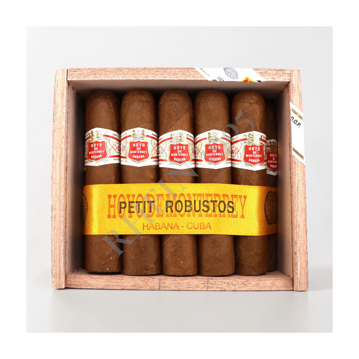 HOYO DE MONTERREY PETIT ROBUSTO / 25'S — Rhein 1905
