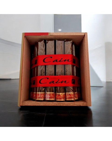 CAIN F DOUBLE TORO 660 FULL BOX — Rhein 1905