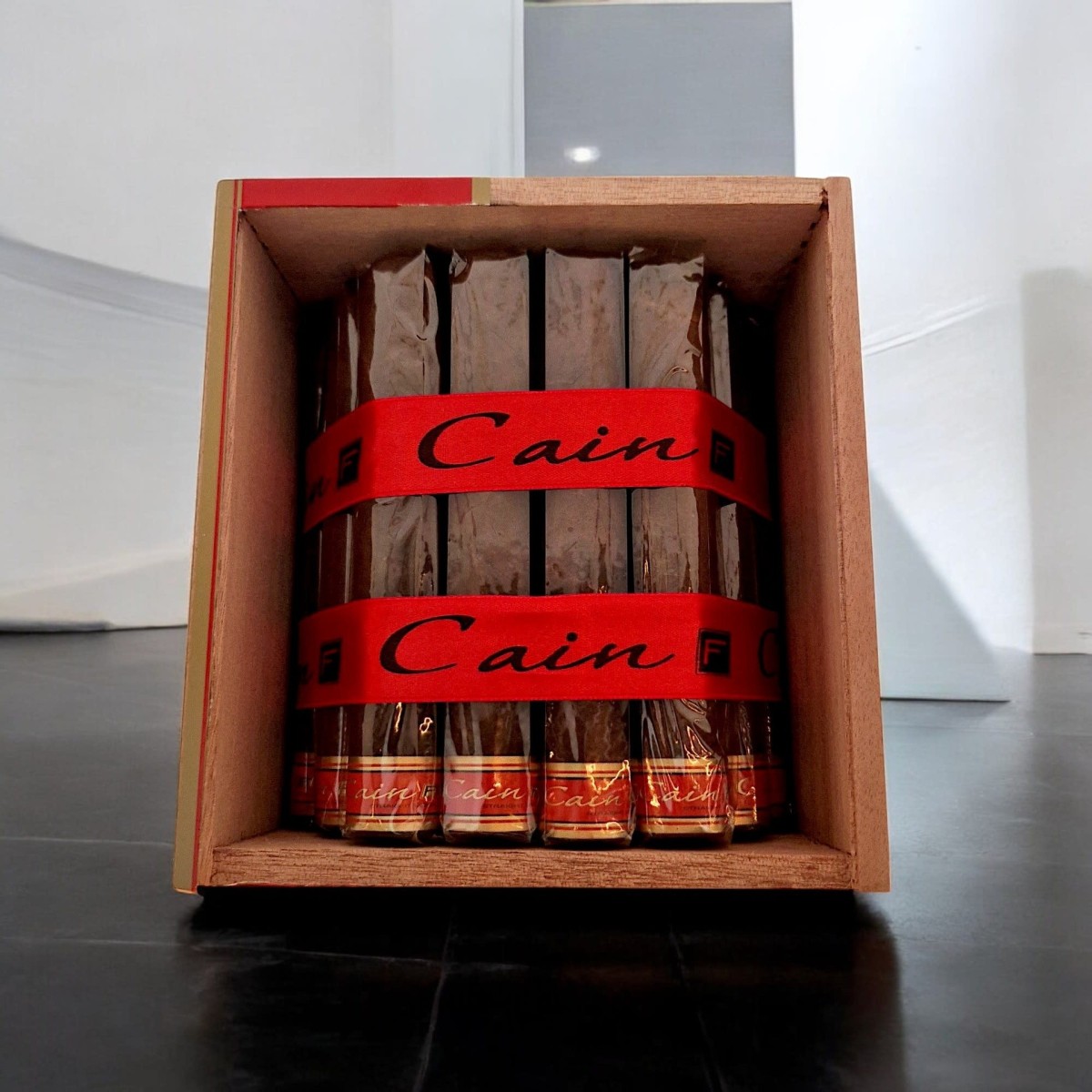 CAIN F DOUBLE TORO 660 FULL BOX — Rhein 1905