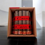 CAIN F DOUBLE TORO 660 FULL BOX — Rhein 1905