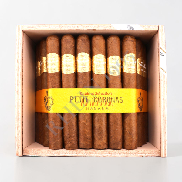 POR LARRAÑAGA PETIT CORONA /50'S — Rhein 1905
