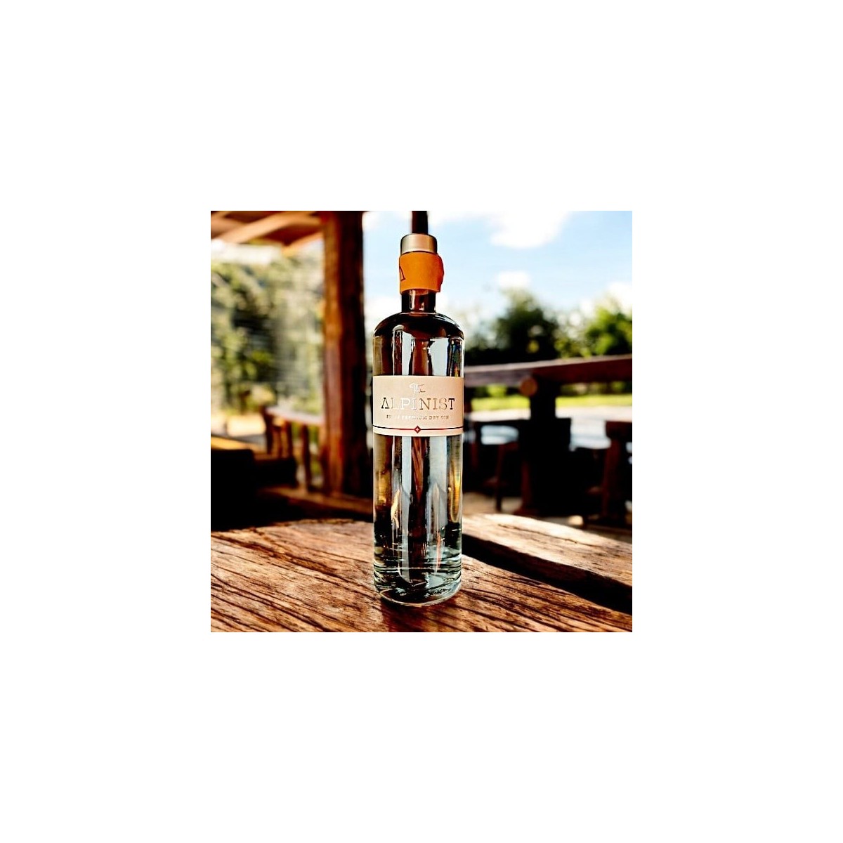 ALPINIST DRY GIN — Rhein 1905