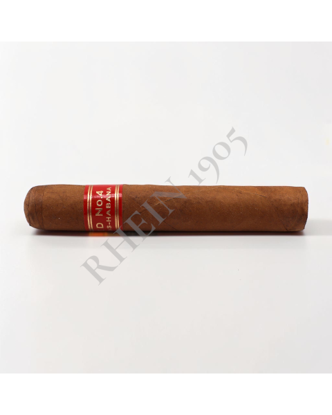 PARTAGAS SÉRIE D4 — Rhein 1905