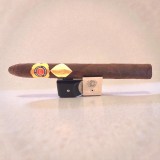 CAVALIER REGIONAL EXCLUSIVE  SUISSE "MAURO" — Rhein 1905