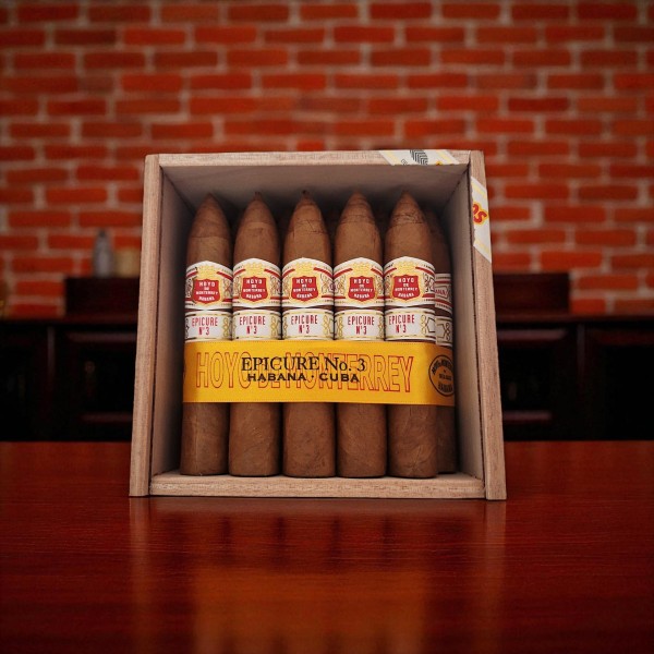 HOYO DE MONTERREY EPICURE 3 / 25'S — Rhein 1905