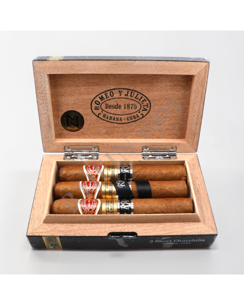 ROMEO SHORT CHURCHILL RESERVA COSECHA /3 — Rhein 1905