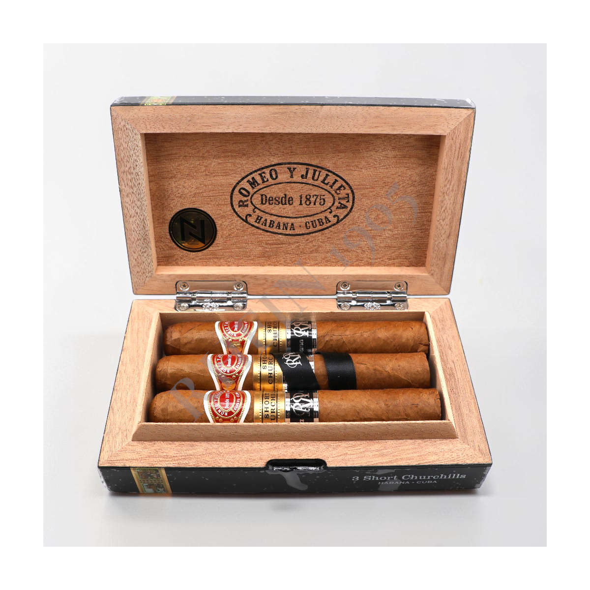 ROMEO SHORT CHURCHILL RESERVA COSECHA /3 — Rhein 1905