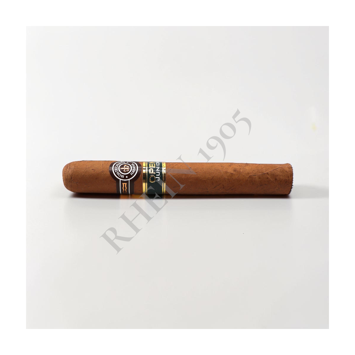 MONTECRISTO OPEN JUNIOR — Rhein 1905