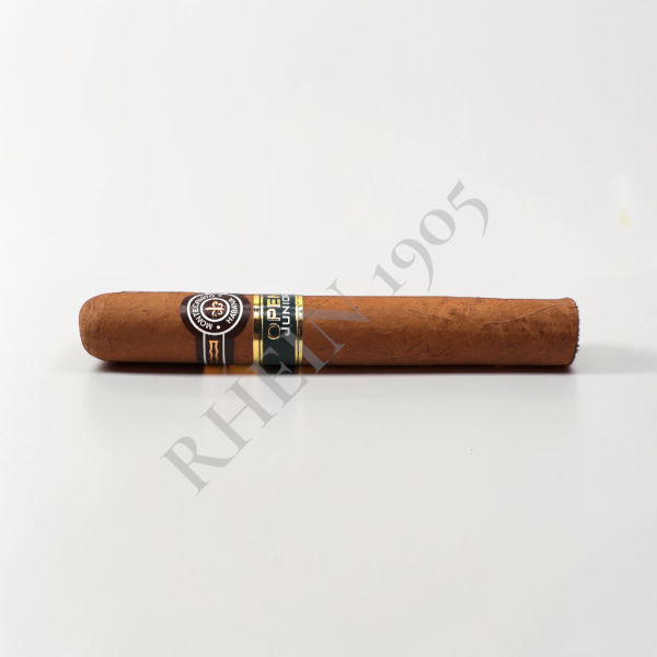 MONTECRISTO OPEN JUNIOR — Rhein 1905