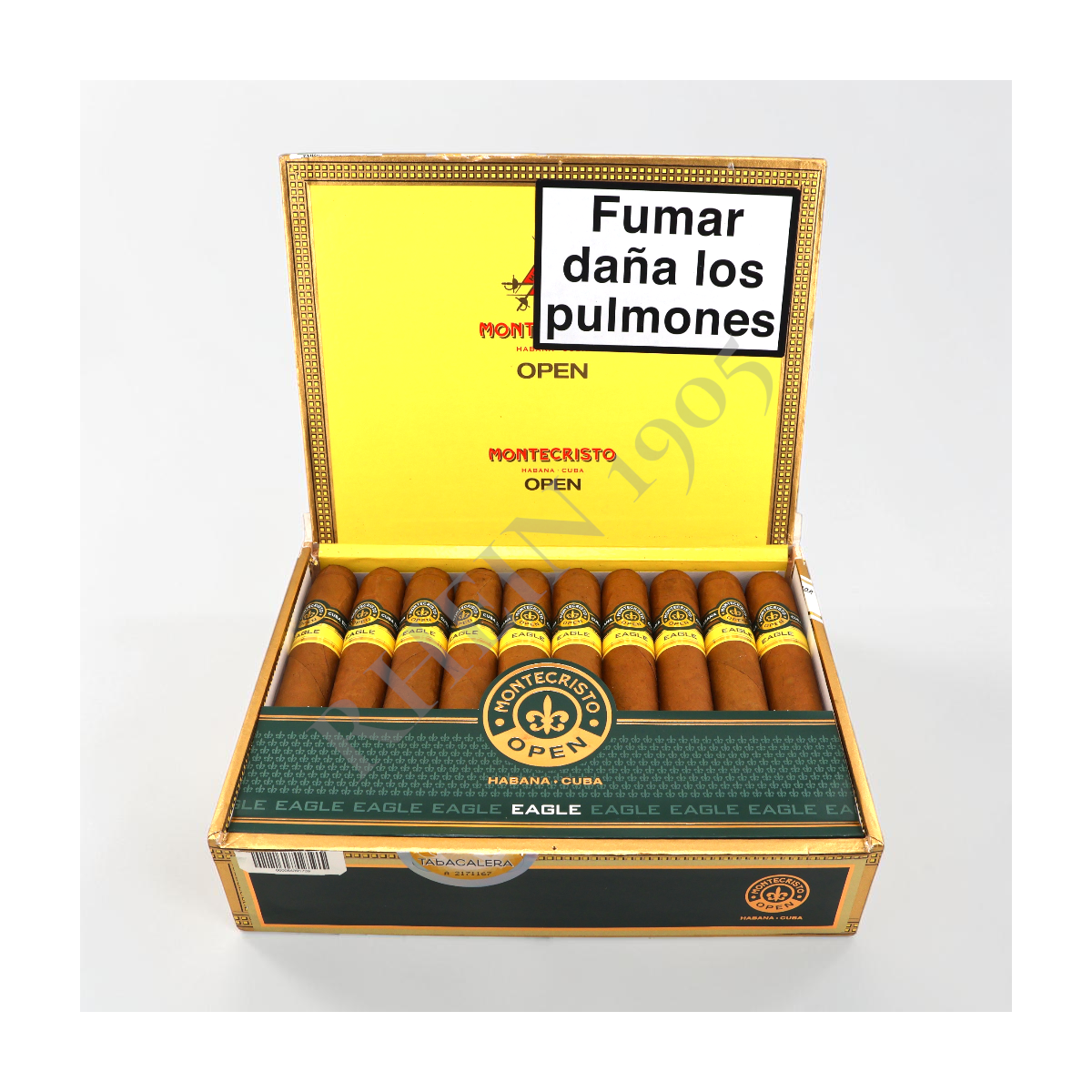 MONTECRISTO OPEN EAGLE / 20'S — Rhein 1905