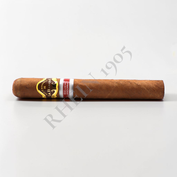 SCDH MAGNIFICO ER ANDORRA / 12'S — Rhein 1905