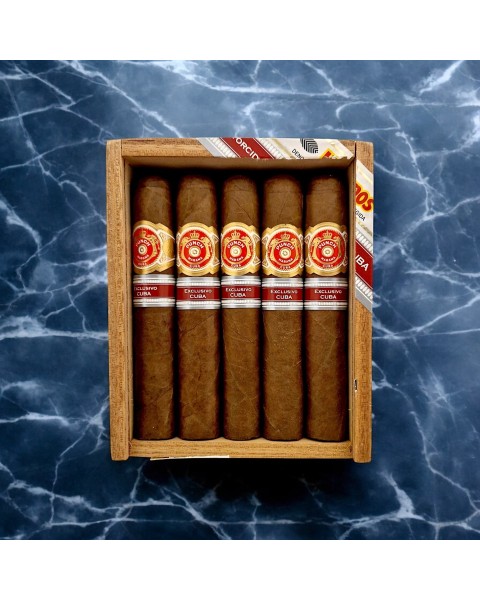 PUNCH LA ISLA ER CUBA 2018 / 10'S — Rhein 1905