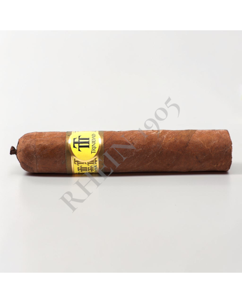 TRINIDAD VIGIA — Rhein 1905