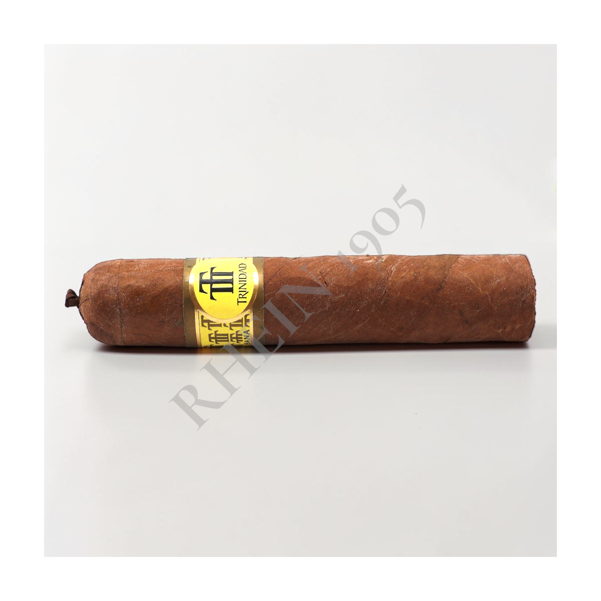 TRINIDAD VIGIA — Rhein 1905