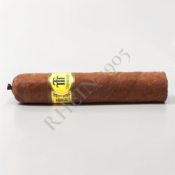 TRINIDAD VIGIA — Rhein 1905