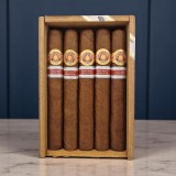 RAMON ALLONES TERRA MAGICA ER ADRIATICO / 10'S — Rhein 1905