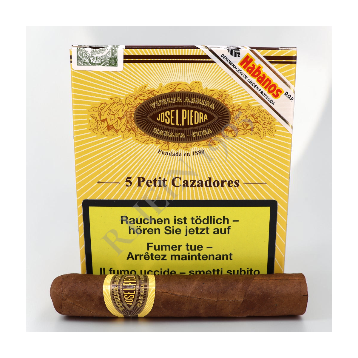 JOSE L. PIEDRA PETIT CAZADORES CARDBOX /5 — Rhein 1905