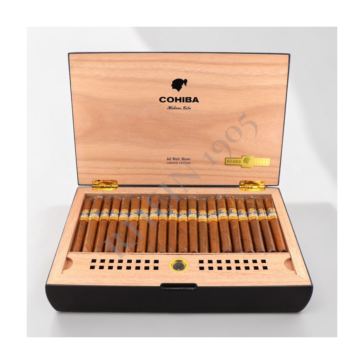 COHIBA WIDE SHORT HUMIDOR 2025 — Rhein 1905