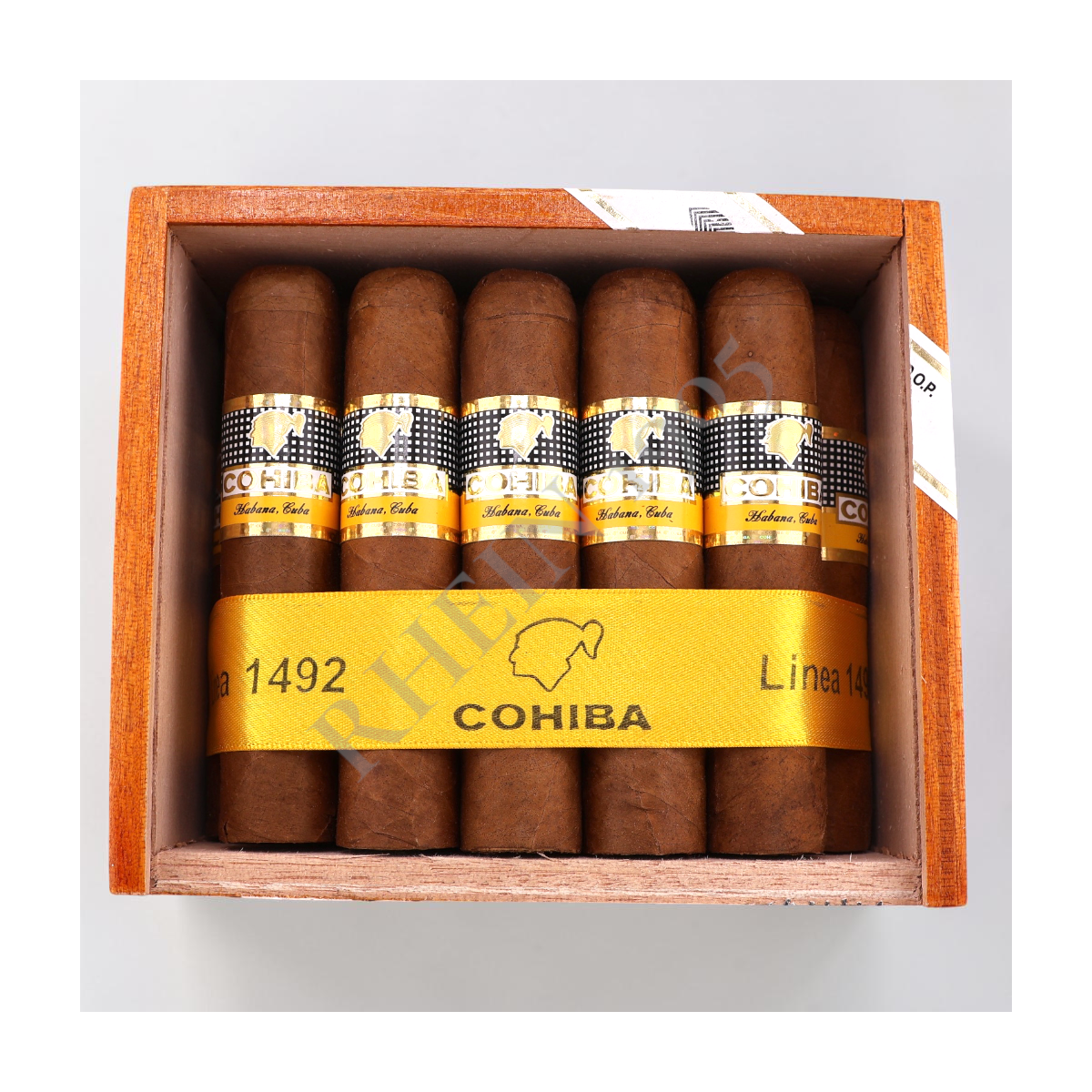 COHIBA MEDIO SIGLO / 25'S — Rhein 1905