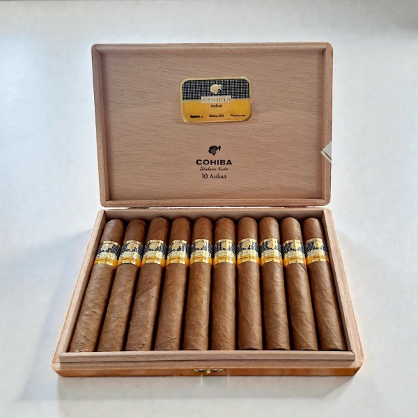COHIBA AMBAR - BOX 10'S — Rhein 1905