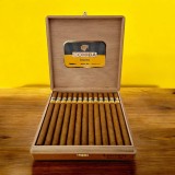 COHIBA LANCEROS - BOX 25'S — Rhein 1905