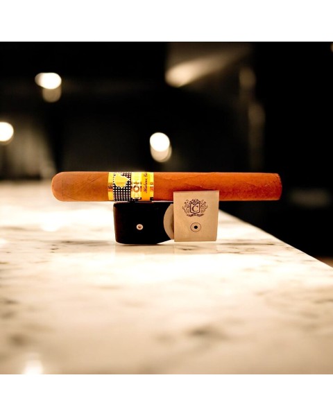 COHIBA SIGLO II SLB UNIT — Rhein 1905